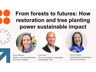 From forests to futures: How restoration and tree planting power sustainable impact