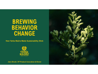 Brewing Behavior Change: How Yerba Madre Made Sustainability Stick