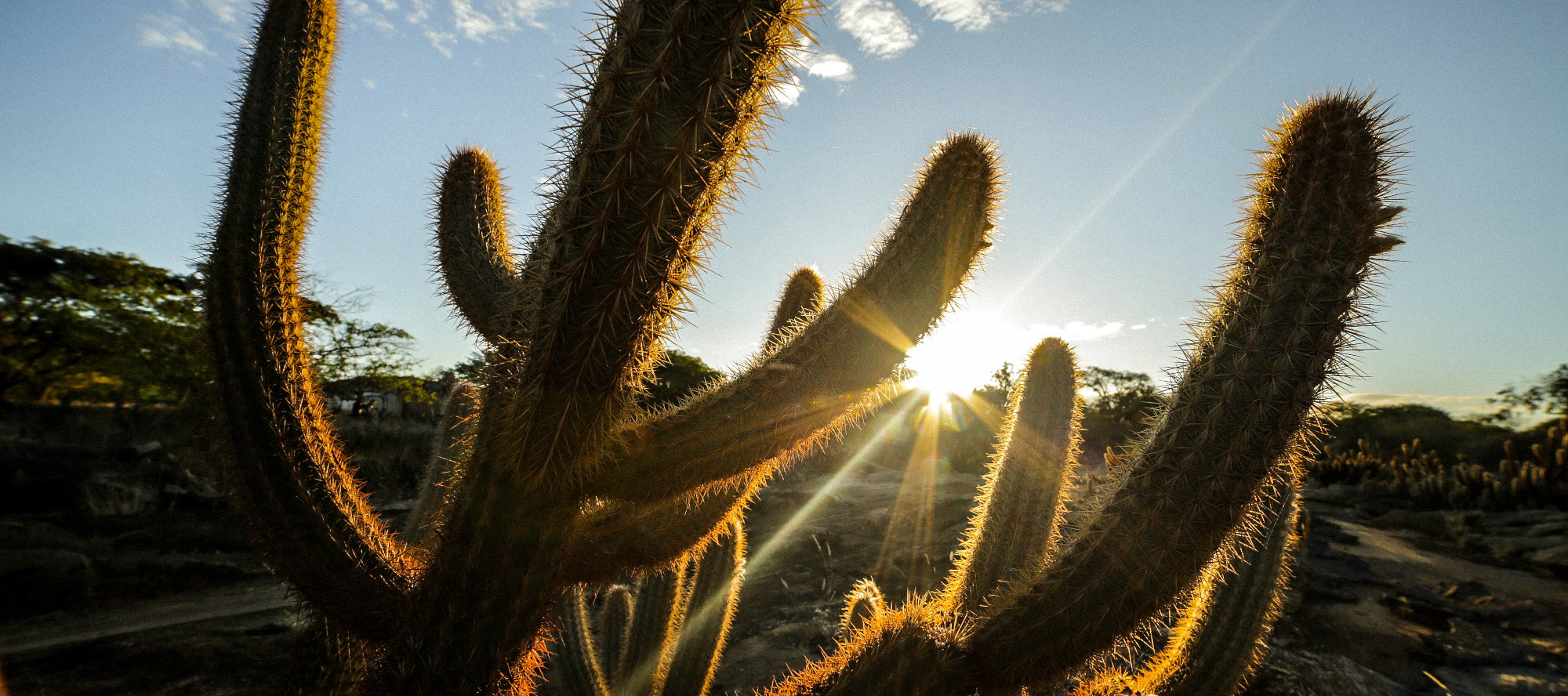 COP15: ‘Environmental DNA’ Technology Enables World-First Nature Performance-Monitoring Service
