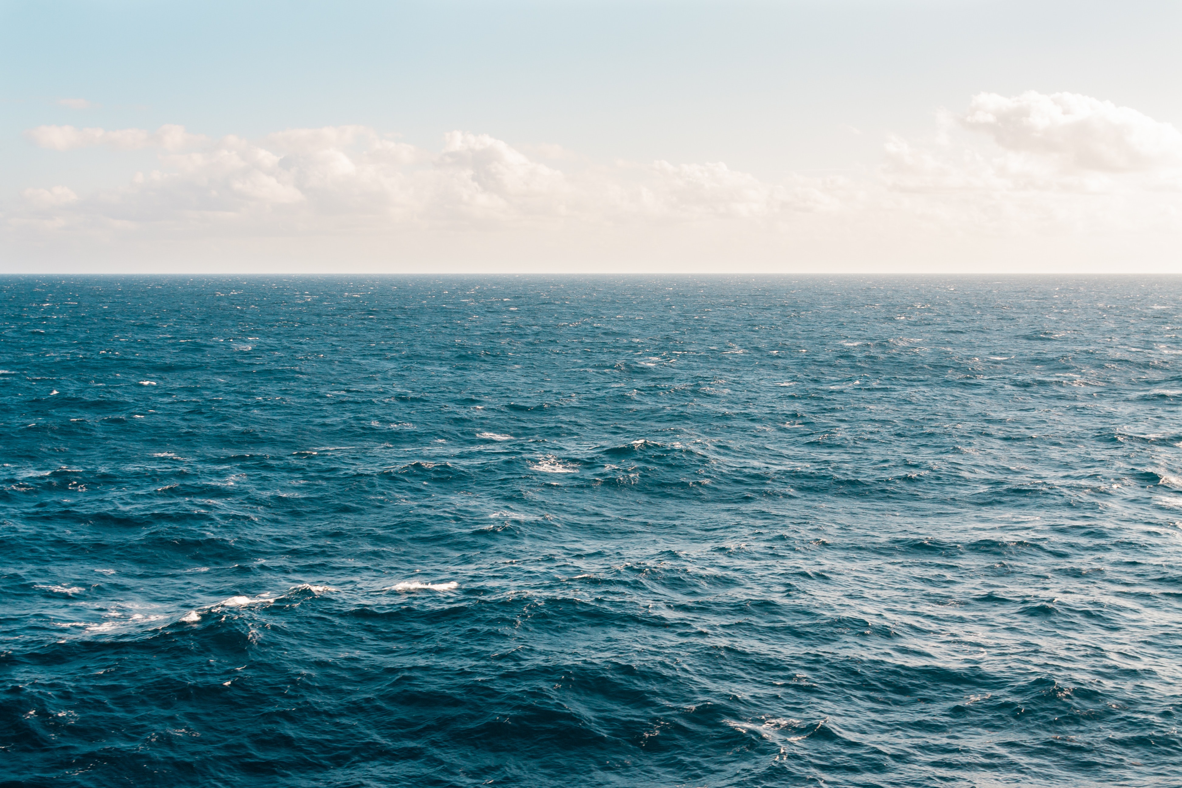 Plastic Bank Celebrates Stopping its Billionth Bottle of Ocean-Bound Plastic; Partnership with SC Johnson Accounts for Half of the Total