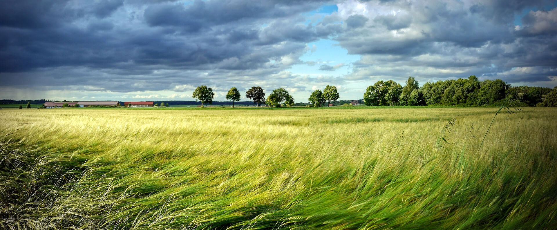 How General Mills Is Collaborating to Scale a Resilient Ag Revolution