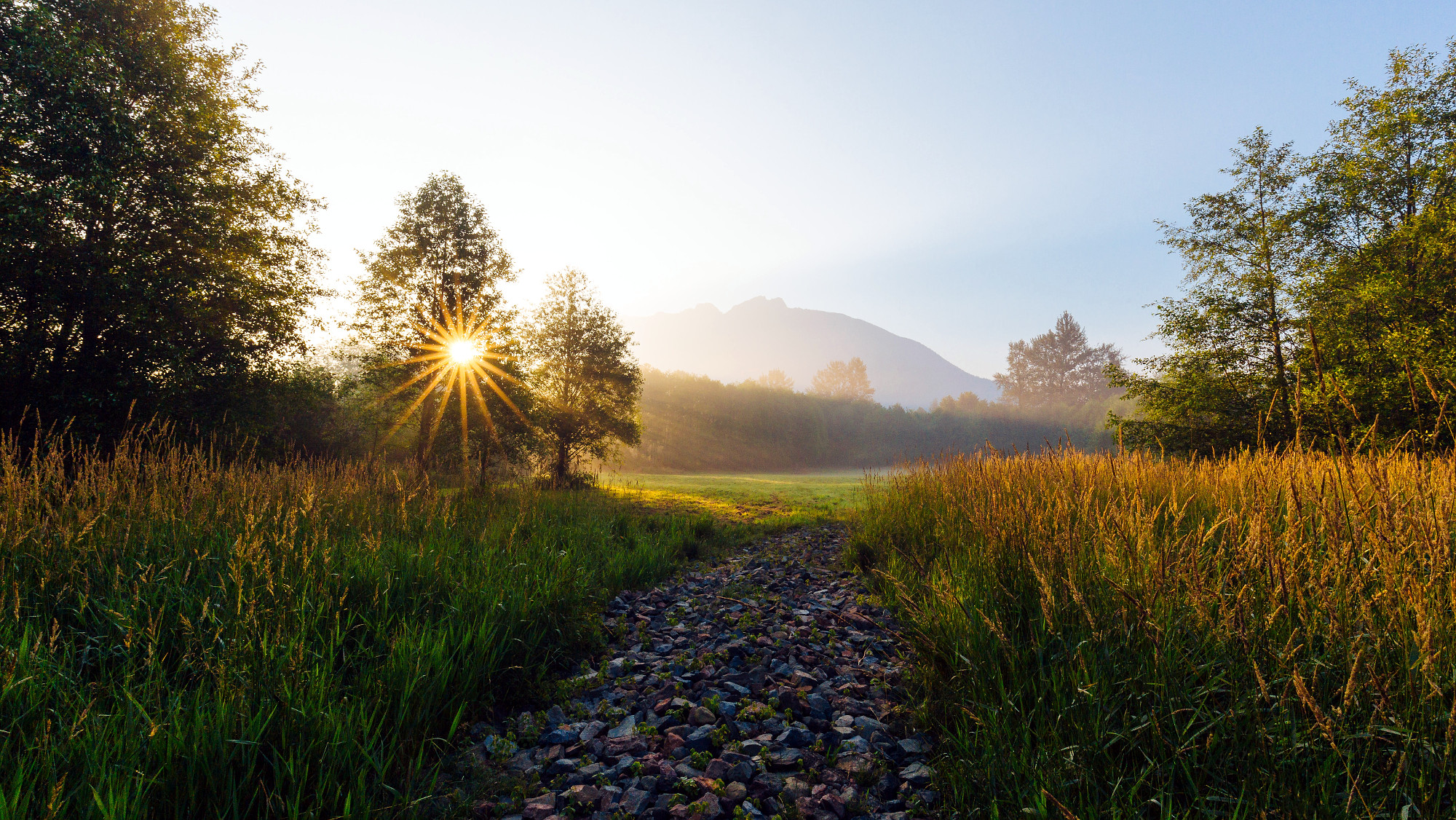 25 Brand Leaders Share Lessons Learned from Remaining True to Purpose