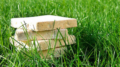 Ecovative Foraging Fungi to Displace Plastic Packaging, Setting Sights on Net Positivity