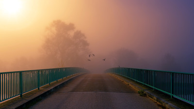 4 Reasons We Know Sustainability Is Not at a Crossroads