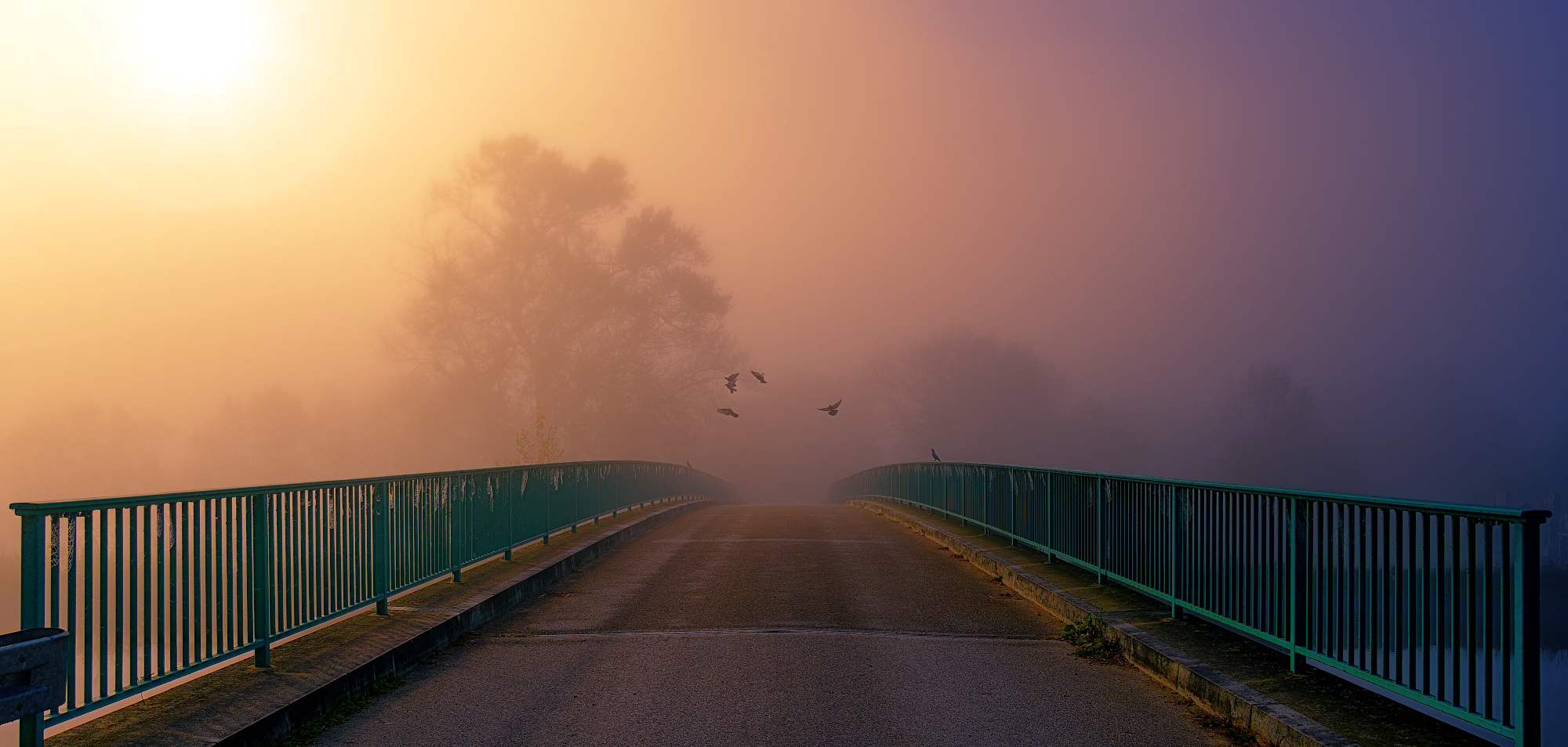 4 Reasons We Know Sustainability Is Not at a Crossroads