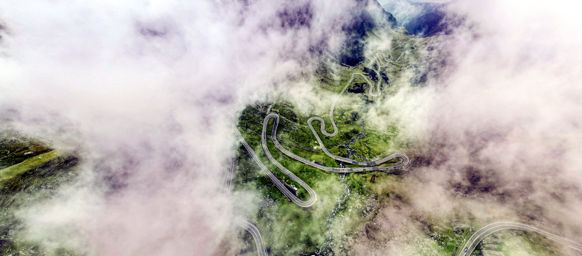 The CFO's Guide to Carbon Removals: Strategic Value in Volatile Times