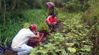 Community Roots: Reforestation Investments Must Center on People