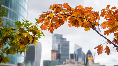 Different Starting Points, Shared Destination: The Many Roads to Corporate Action on Nature