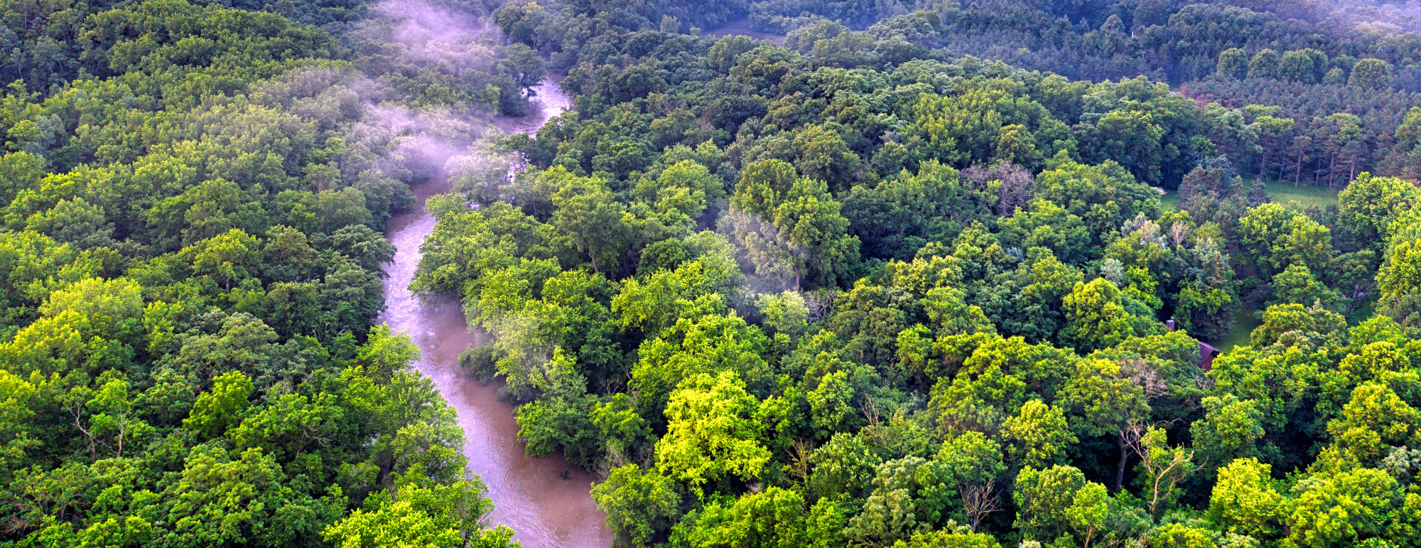 Early Adopters Share Insights from Piloting Science-Based Targets for Nature