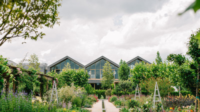 Healthy Soil, Healthy People: How Davines Inspires Beauty from the Ground Up