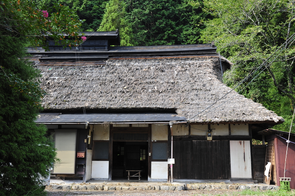 How Living Things and Rice Led Us to Sake Brewing