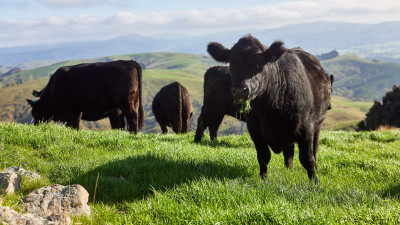 How One Business is Building Farmer Resilience Down Under