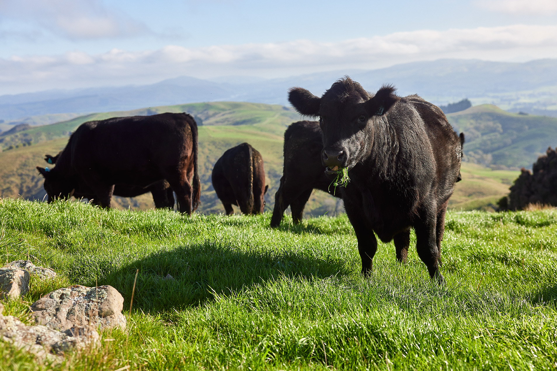How One Business is Building Farmer Resilience Down Under
