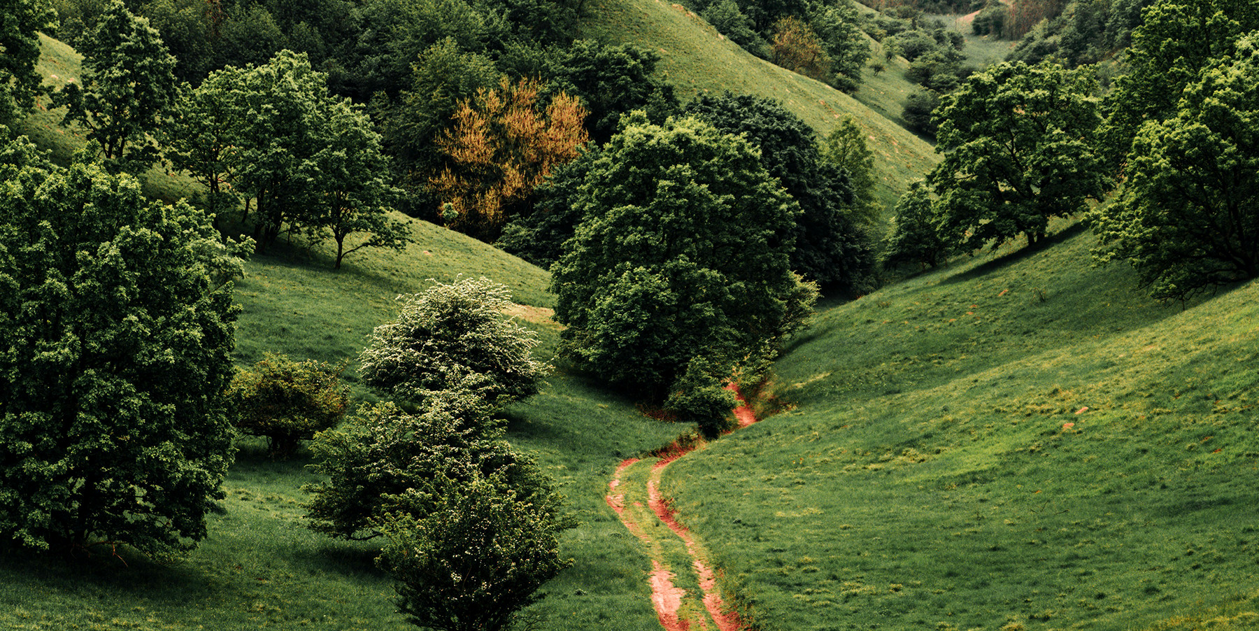 How to Tell a Sustainability Story You Can Stand Behind