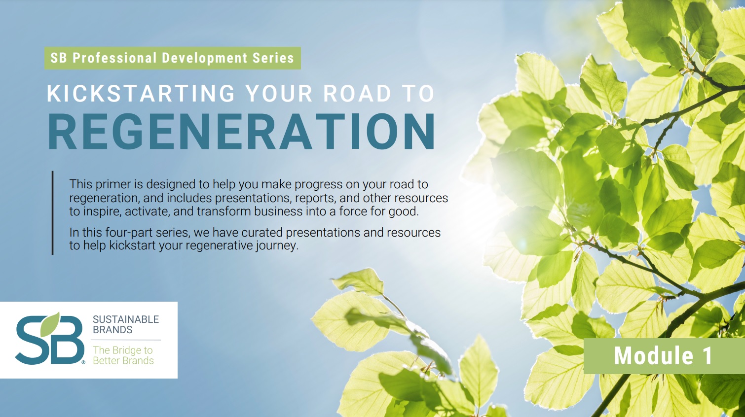 Kickstarting your Road to Regeneration. Module 1: Introduction to Regeneration - The Power of Nature
