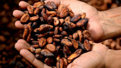 Multi-Stakeholder Collaboration in Global Supply Chains: Lessons from Hershey’s Income Accelerator