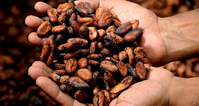 Multi-Stakeholder Collaboration in Global Supply Chains: Lessons from Hershey’s Income Accelerator