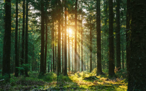 Now is the Time to put Public Lands at the Heart of Brand Purpose