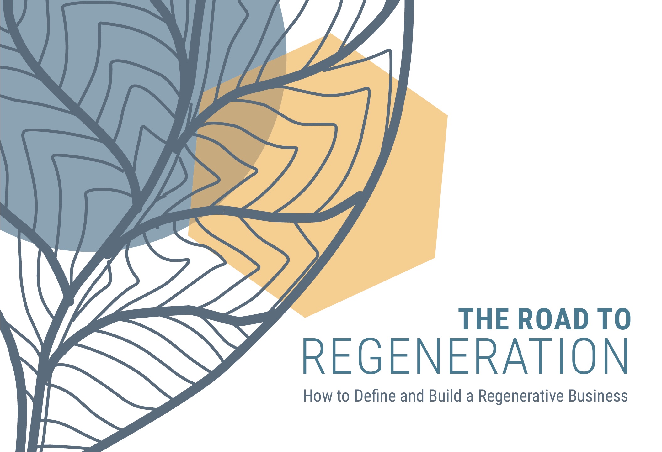 The Road to Regeneration