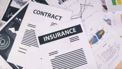 Your Insurance Policy Is a Climate Strategy. Most Companies Don’t Know It.